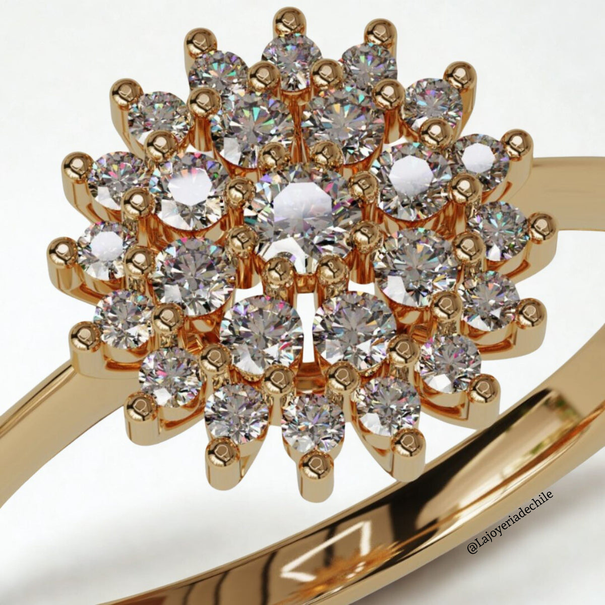 Anillo de compromiso Holanda